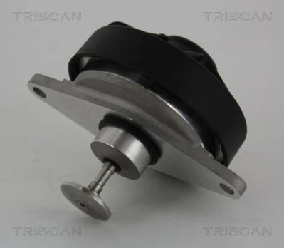 ERG vožtuvas TRISCAN 8813 24202