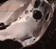 CD Afterlife - Electrosensitive