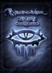 Neverwinter Nights Enhanced Edition PC kaina