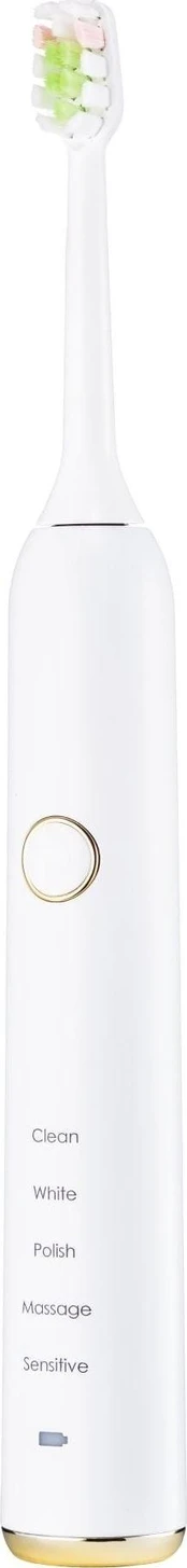 Virdulys Swan SK31050WN