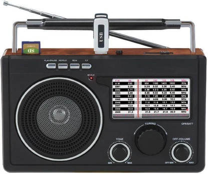 Dartel Radijas Frisky RD-70