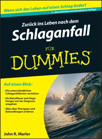 Zuruck ins Leben nach dem Schlaganfall fur Dummies