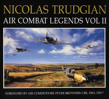Air Combat Paintings