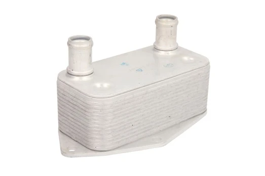 Alyvos radiatorius THERMOTEC D4B007TT
