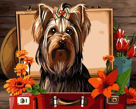 TPS Tapybos rinkinys "Yorkshire terrier"