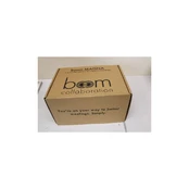 Boom Collaboration | Video Conference Camera | MAGNA | USED, MISSING MANUAL kaina