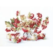 Guelder Rose SB2272 kaina
