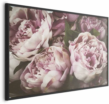 Artgeist Plakatas - Rožinė Peonies