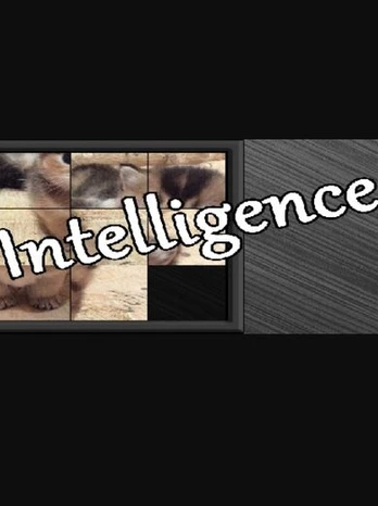 Intelligence PC