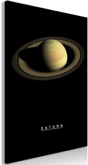 Artgeist Paveikslas - Saturn (1 Part) Vertical kaina