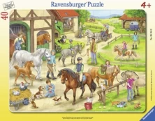 Dėlionė Ravensburger 061648, 32.5 cm x 24.5 cm kaina