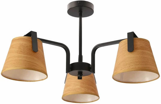 Šviestuvas lubų Candellux Lighting Amberg, E27
