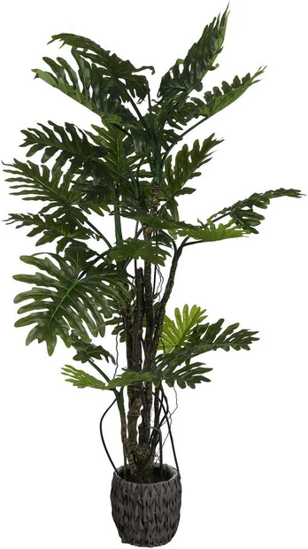 Dirbtinis augalas Filodendras Brasil, 210 cm