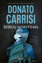 Šešėlių mokytojas kaina