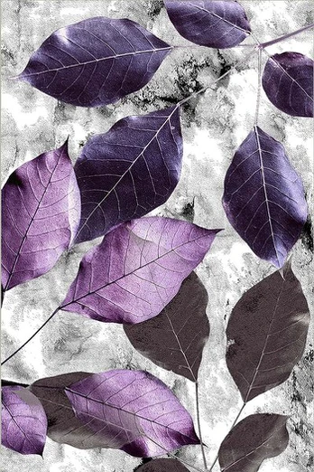 Asir kilimas Hmnt572 100x300 cm