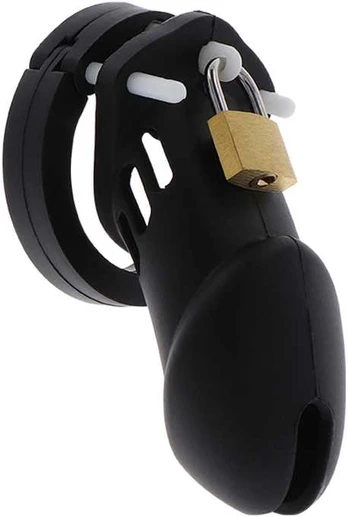 Hidden Desire Chastity Cock Cage Slicone L
