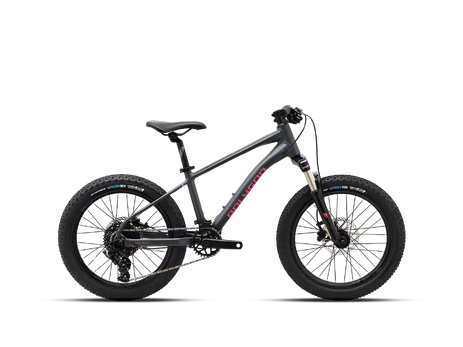 Dviratis 20" POLYGON XTRADA 20 CHARCOAL