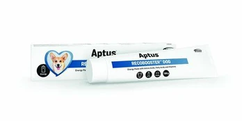 Orion Aptus Recobooster Dog 100g