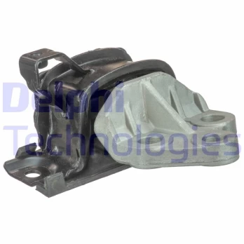 Variklio montavimas DELPHI TEM094