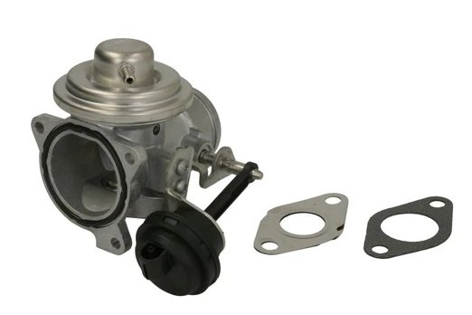 ERG vožtuvas BorgWarner (Wahler) 7283D/1