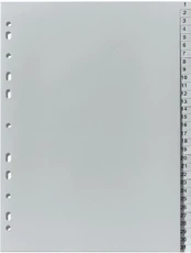 Skirtukas Herlitz, A4, 31 vnt. kaina