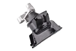 Variklio montavimas TEDGUM 00263047