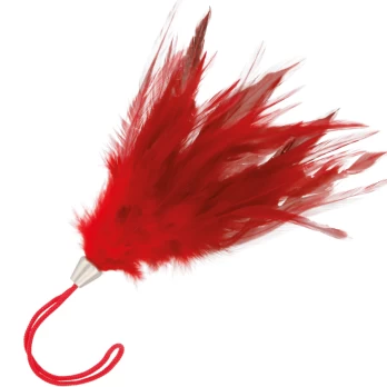 Plunksna DARKNESS 17 cm
