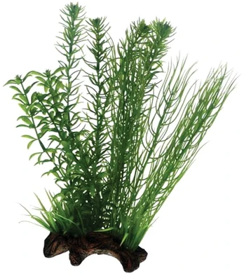HOBBY Dirbtinė akvariumo augalų dekoracija L