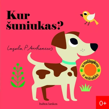 KUR ŠUNIUKAS? Su medžiagėlėmis ir veidroduku