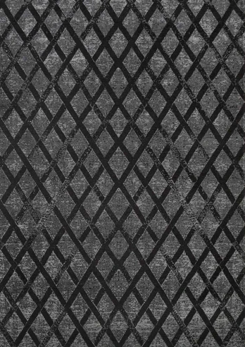 Fargotex Kilimas FERRY 160X230