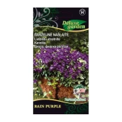 NAŠLAITĖ RAIN PURPLE kaina