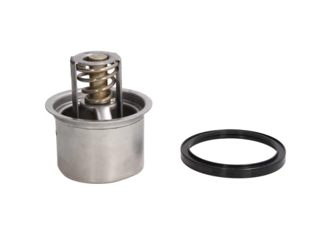 termostatas, aušinimo skystis THERMOTEC D2RV004TT