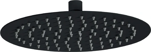 Round overhead shower - 250 mm kaina