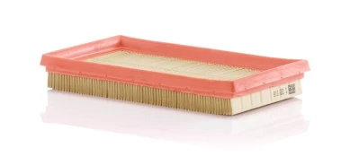 Oro filtras MANN-FILTER C 22 016 kaina