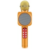 Riff WS-1816 16W karaoke BT microphone with LED 360 Gold kaina