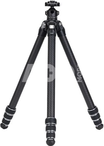 Falcam TreeRoot Quick Lock Lite Tripod T00A4903