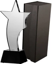 Tryumf Trofeum szklane su etui C035 kaina