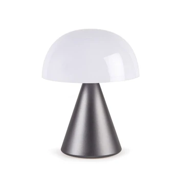 Stilingas LED šviestuvas Lexon LH65MX
