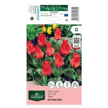 AGRONOM TULPĖS RED REDDING HOOD 170160