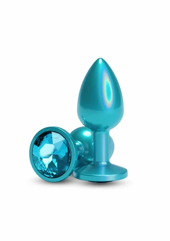 nsnovelties Iridescent Plug Small Chrome-Plated Trainer Kit 657447111297