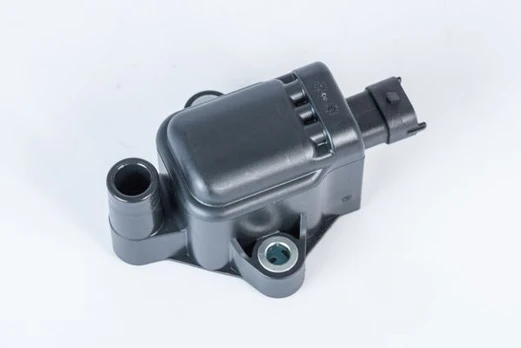 Ritė, uždegimas BorgWarner (BERU) ZS593