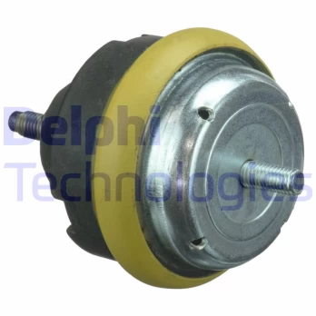 Variklio montavimas DELPHI TEM113