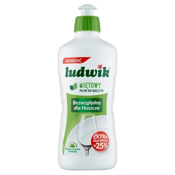 LIUDWIK Indų ploviklis, 450g, mėtų kvapo