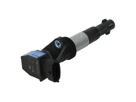 Ritė, uždegimas BOSCH 0221604103