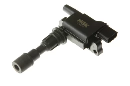 Ritė, uždegimas NGK 48242 kaina