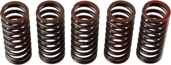 Clutch springs set