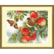 Sparrows S/RS015
