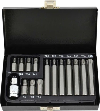 AW-Tools AWTools AWTOOLS TORX KALĖS 15 vnt. SU BL SKYRE AW35117BL