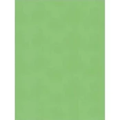 Spalvotas kartonas A2/170g šv.žalias kaina