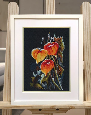 Cross stitch kit "Physalis on black" S1617